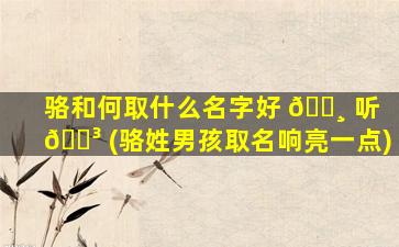 骆和何取什么名字好 🕸 听 🐳 (骆姓男孩取名响亮一点)